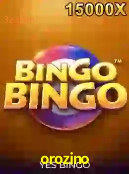 bingobingo